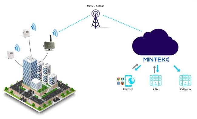 Remote Measurement using IoT, Mintek